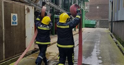 Dublin jobs: Guinness Fire Brigade is hiring EMTs as part of expansion plans