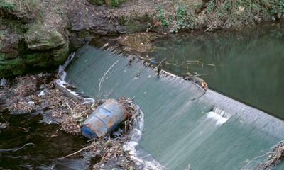 UK environment laws under threat in ‘deregulatory free-for-all’