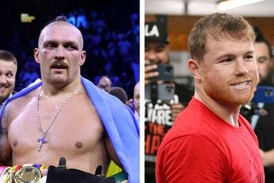 Oleksandr Usyk wants ‘freak’ Canelo Alvarez fight and makes Tyson Fury vow in retirement plan