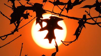 Why the sun is setting on summer later than usual this year