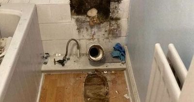 Landlord tore out tenant's toilet over unpaid rent in 'moment of madness'