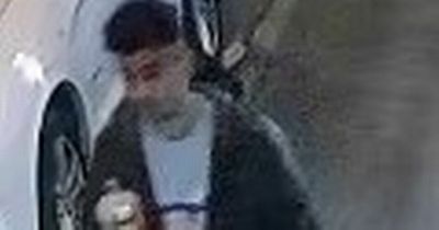 Young Edinburgh man attacked and robbed at knifepoint on street during the night