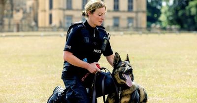 Scots police dog who saved 38 lives during eight-year career wins national award