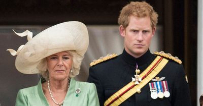 Prince Harry would give Camilla 'long, cold glances' she found 'unnerving', claims book