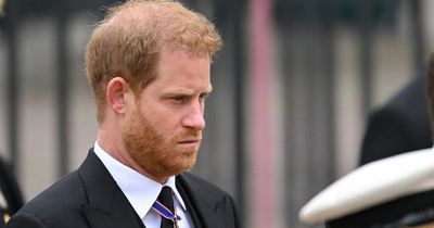 Prince Harry has lost 'only ally' in Royal Family following Queen's death, says expert