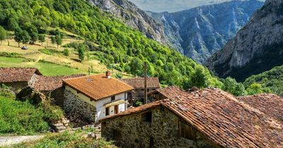 Get paid to move to Spain and double it by having children