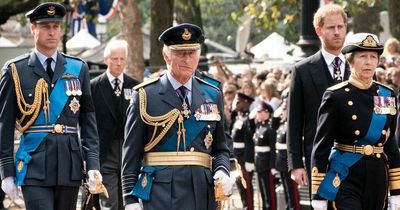 Harry and William had rows with King Charles that were 'hardly respectful', claims book