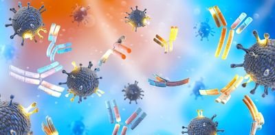 HIV therapies currently need to be taken regularly for life – longer-lasting antibody treatments could one day offer an equally effective one-shot alternative