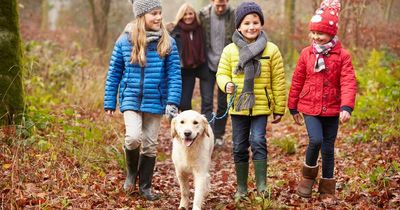 Autumn officially starts today - equinox explained and exact date clocks will go back