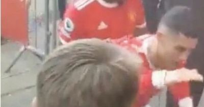 Cristiano Ronaldo charged by the FA after angry incident with autistic teenager