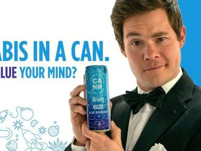 'Workaholics' Actor Adam Devine Talks Cannabis: 'I'm Basically A 50's Dad, But Instead Of Whisky I Do Weed'