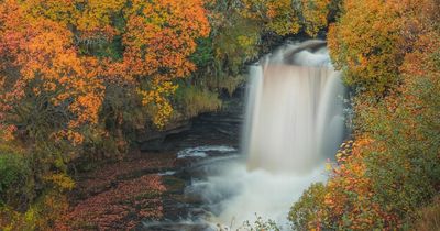 Autumn in Scotland: Where to go to see the colours change