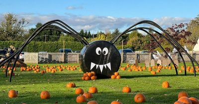 Halloween festival where you can shoot zombies, pick pumpkins and take on scare zones coming to Edinburgh this October