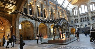 Natural History Museum teams up with Amazon's Alexa to share knowledge with curious minds