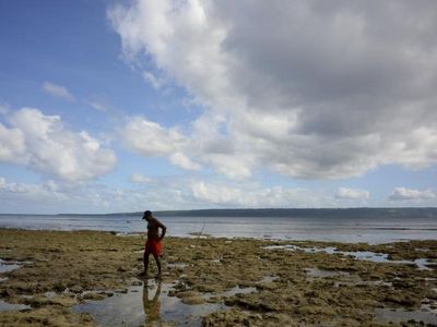 Bowen urges new China-US climate talks