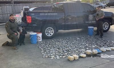 Texas restaurant involved in shark fin possession case identified