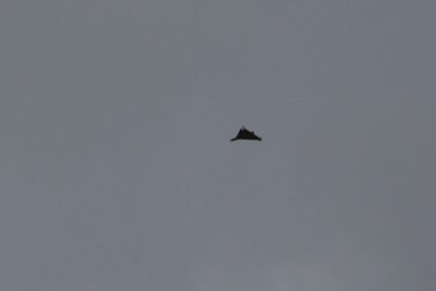 Ukraine to slash ties with Iran over 'evil' drones supply to Russia