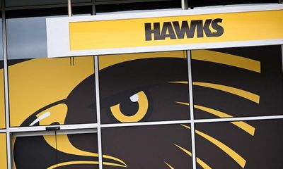 Author of Hawthorn review says alleged mistreatment of Indigenous players ‘like a nightmare’