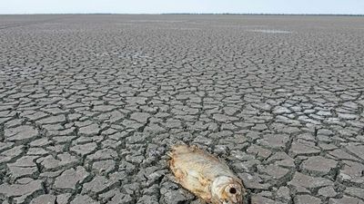 Drought preparations forgotten as heavy rainfall goes to waste, western NSW leaders say