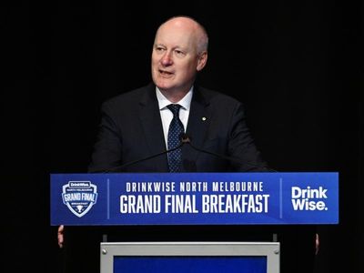 Hawks racism claims 'harrowing': AFL chair