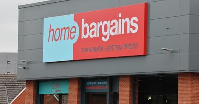 Home Bargains shoppers praise 'amazing' £45 air fryer that's 'so easy to use'