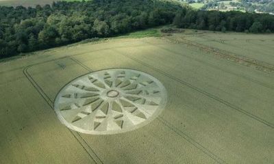 Invasion of the barley snatchers: crop circles cost farmers thousands in lost revenue
