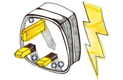 Where does electricity come from and do pandas eat people? Try our kids’ quiz