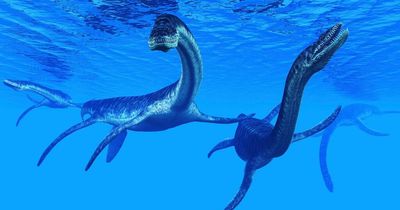 Loch Ness Monster could be real-life Stranger Things creature