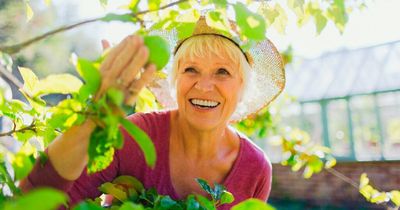 Mum outraged as stranger comes into her garden and steals fruit from tree