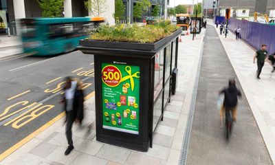 Buzz stops: bus shelter roofs turned into gardens for bees and butterflies