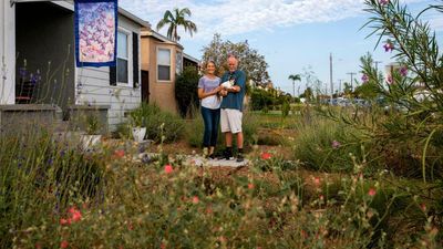 ‘The American lawn feels irresponsible’: the LA homes ditching grass for drought-friendly gardens