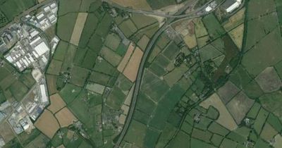 M7 Kildare crash: Young man dies after being hit by car as gardai close part of motorway