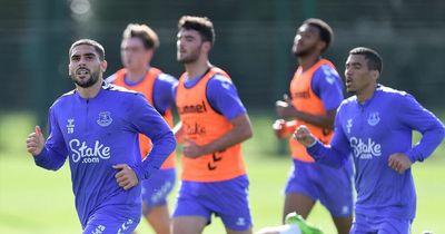 Dominic Calvert-Lewin and Allan questions answered plus more things spotted in Everton training