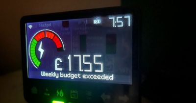 Cost of living: ESB say only small number of smart meter customers use key money-saving feature