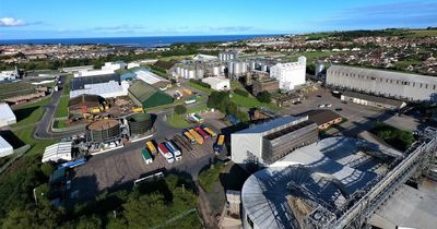 Profits and turnover surge at Northumberland firm Simpsons Malt