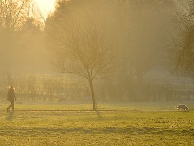 UK weather: ‘Significant’ strong winds warned as temperature drop brings frost