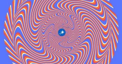 Optical illusion tricks your brain so you can't read words after staring at the middle
