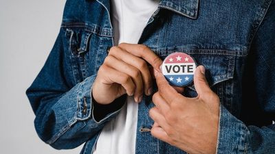 Why do the US midterms matter?