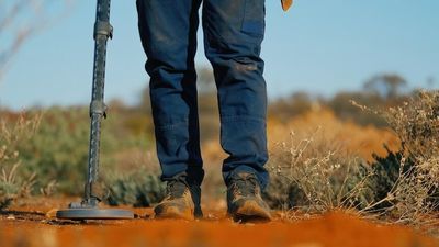 Biosecurity concerns on WA pastoral leases as travellers hunt for gold and wildflowers