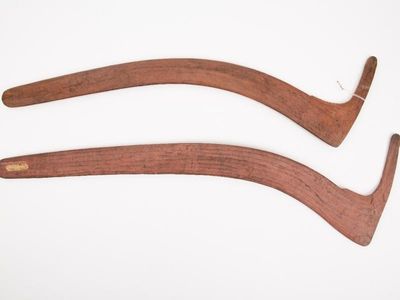 NZ museum returns Indigenous objects