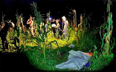 Cornfield slaying stumps, fatal gold lust, naked escapee