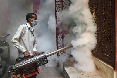 Why mosquitoes are taking over Delhi