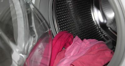 The 'mystery' of the bump in washing machine doors has been solved