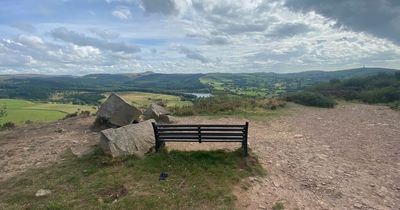 The country park with breathtaking views of Cheshire and the Peaks with a "very lovely" tearoom