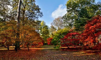 Autumn has arrived in the UK – but the season is not like it used to be