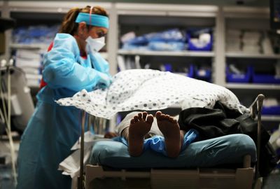 How to prevent another pandemic