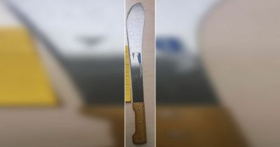 Man arrested for carrying this HUGE knife in the street