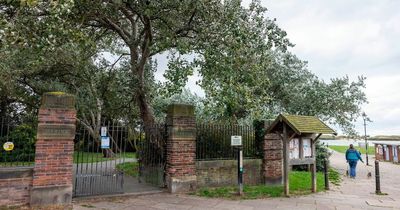 Teenager injured in 'violent attack' by gang of youths