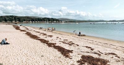 New Ayrshire holiday homes in pipeline as island getaway plans approved