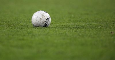 Wexford GAA ref allegedly assaulted during match as Gardai open investigation